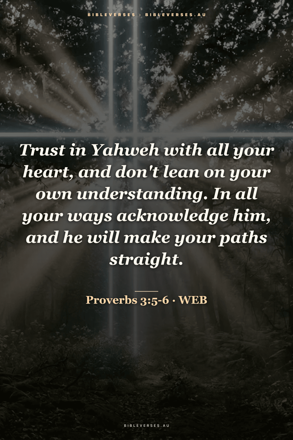 Proverbs 3:5-6 Bible verse phone wallpaper on a Forest Rays background — free HD download from bibleverses.au