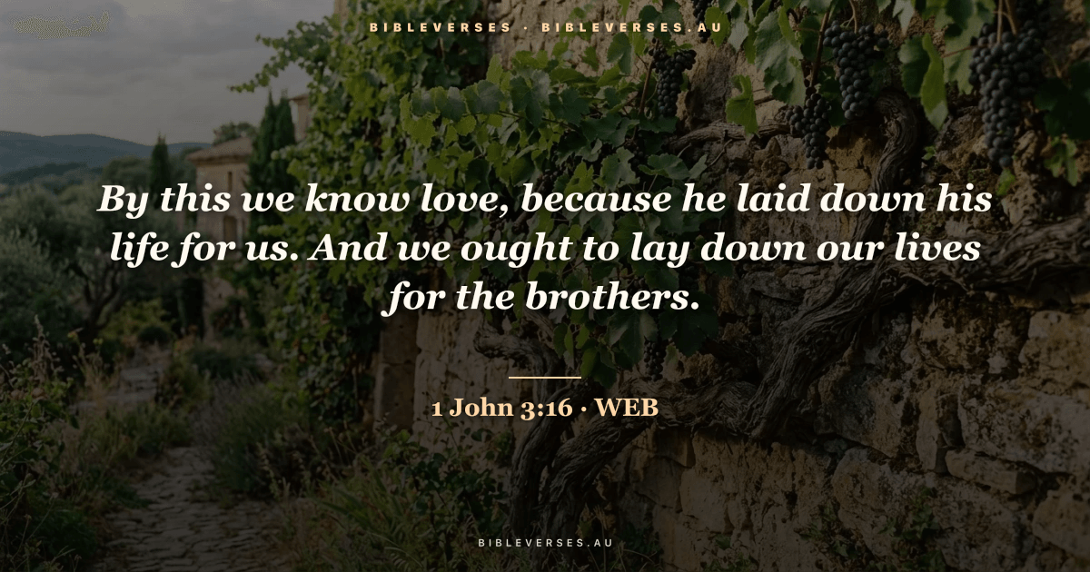 1 John 3:16 Bible verse image — "By this we know love, because he laid down his life for us. And we ought to lay down our lives for the brothers." (World English Bible). Free download from bibleverses.au.