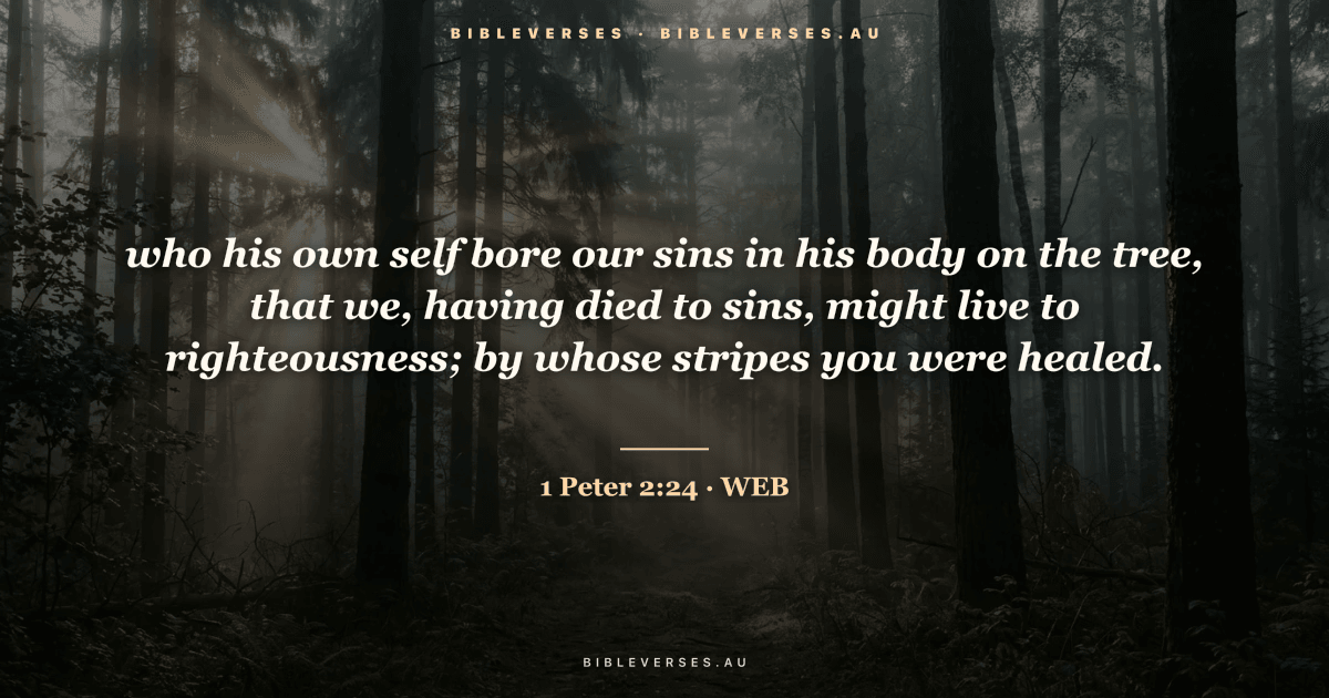 1 Peter 2:24 Bible verse image — "who his own self bore our sins in his body on the tree, that we, having died to sins, might live to righteousness; by whose stripes you were healed." (World English Bible). Free download from bibleverses.au.
