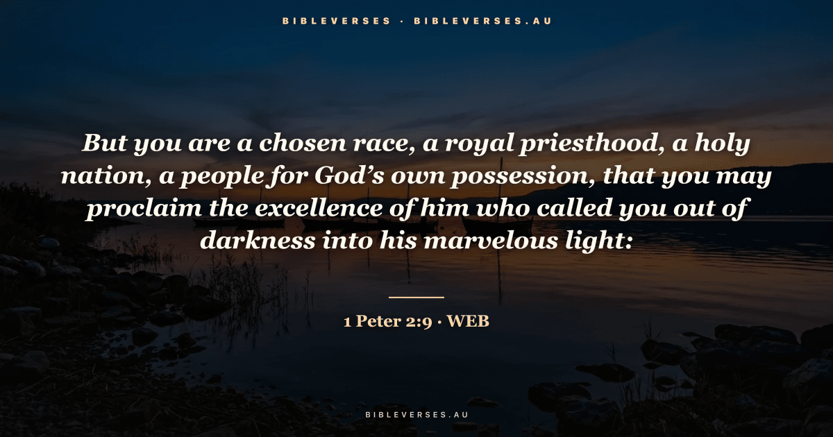 1 Peter 2:9 Bible verse image — "But you are a chosen race, a royal priesthood, a holy nation, a people for God’s own possession, that you may proclaim the excellence of him who called you out of darkness into his marvelous light:" (World English Bible). Free download from bibleverses.au.