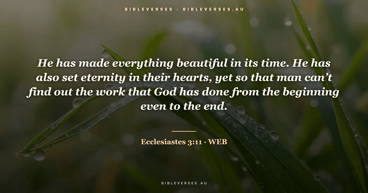 Ecclesiastes 3:11 Bible verse image — "He has made everything beautiful in its time. He has also set eternity in their hearts, yet so that man can’t find out the work that God has done from the beginning even to the end." (World English Bible). Free download from bibleverses.au.