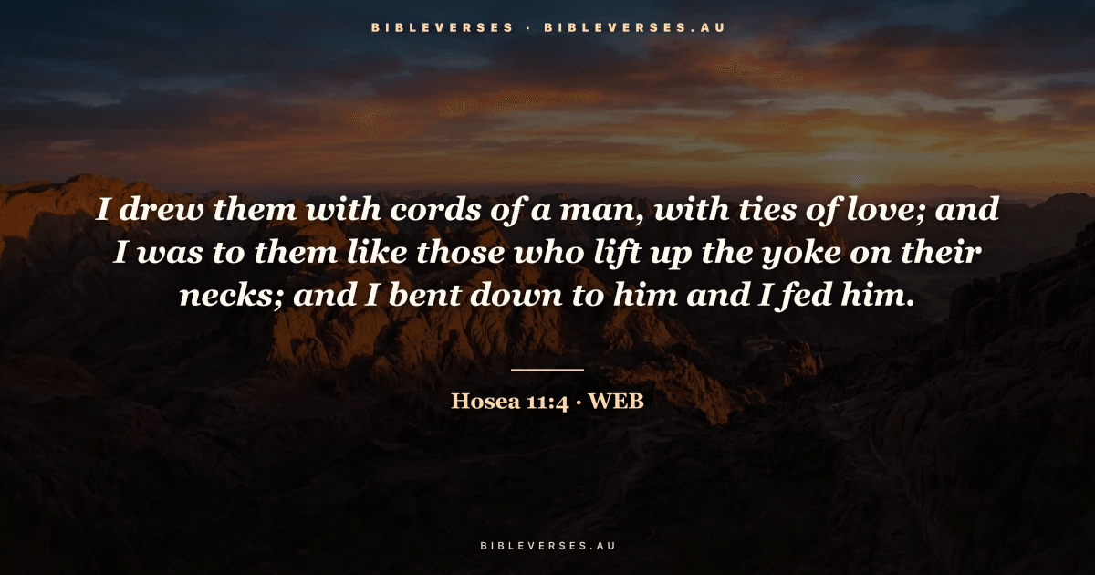 Hosea 11:4 Bible verse image — "I drew them with cords of a man, with ties of love; and I was to them like those who lift up the yoke on their necks; and I bent down to him and I fed him." (World English Bible). Free download from bibleverses.au.