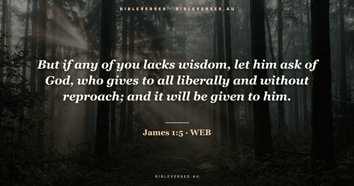 James 1:5 Bible verse image — "But if any of you lacks wisdom, let him ask of God, who gives to all liberally and without reproach; and it will be given to him." (World English Bible). Free download from bibleverses.au.