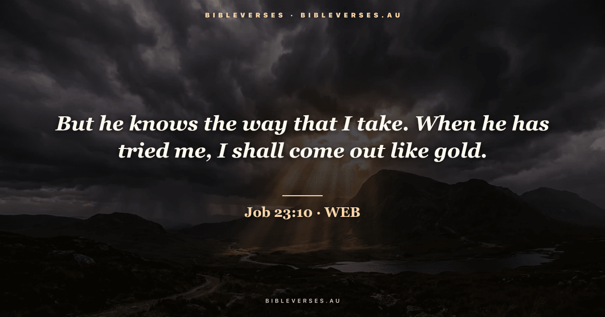 Job 23:10 Bible verse image — "But he knows the way that I take. When he has tried me, I shall come out like gold." (World English Bible). Free download from bibleverses.au.