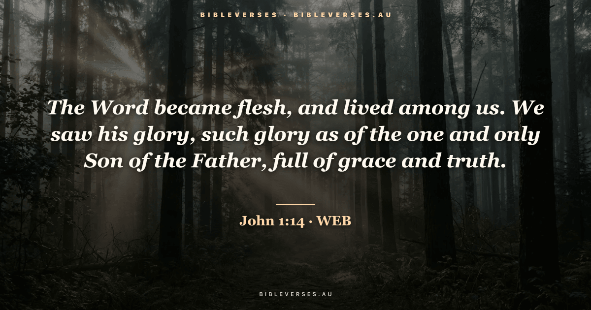 John 1:14 Bible verse image — "The Word became flesh, and lived among us. We saw his glory, such glory as of the one and only Son of the Father, full of grace and truth." (World English Bible). Free download from bibleverses.au.