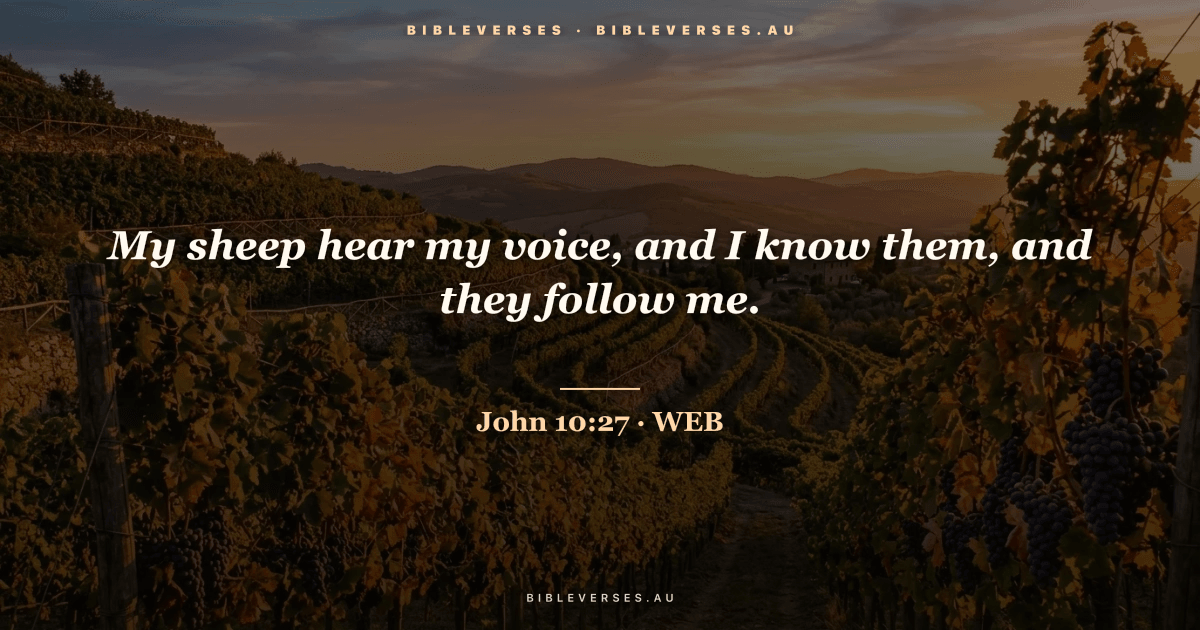 John 10:27 Bible verse image — "My sheep hear my voice, and I know them, and they follow me." (World English Bible). Free download from bibleverses.au.