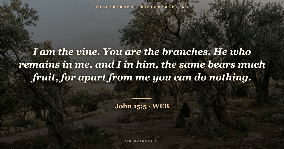 John 15:5 Bible verse image — "I am the vine. You are the branches. He who remains in me, and I in him, the same bears much fruit, for apart from me you can do nothing." (World English Bible). Free download from bibleverses.au.