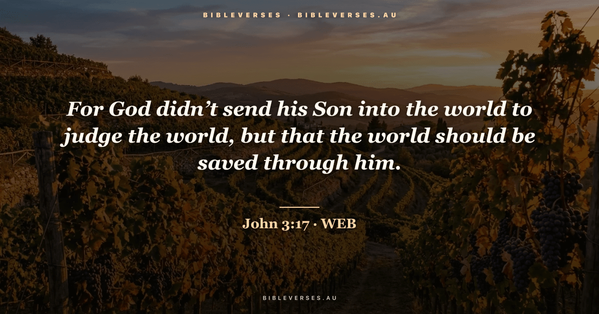 John 3:17 Bible verse image — "For God didn’t send his Son into the world to judge the world, but that the world should be saved through him." (World English Bible). Free download from bibleverses.au.