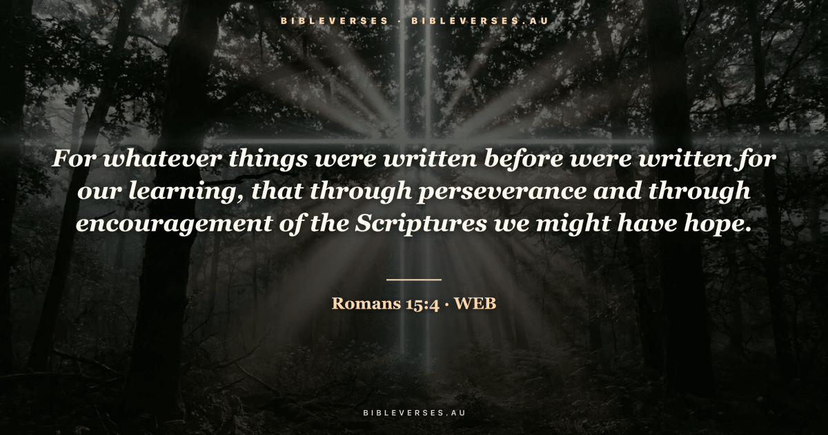 Romans 15:4 Bible verse image — "For whatever things were written before were written for our learning, that through perseverance and through encouragement of the Scriptures we might have hope." (World English Bible). Free download from bibleverses.au.
