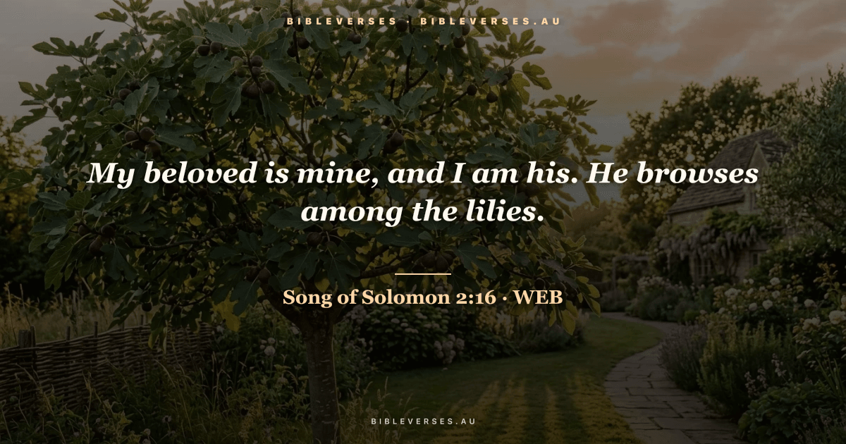 Song of Solomon 2:16 Bible verse image — "My beloved is mine, and I am his. He browses among the lilies." (World English Bible). Free download from bibleverses.au.